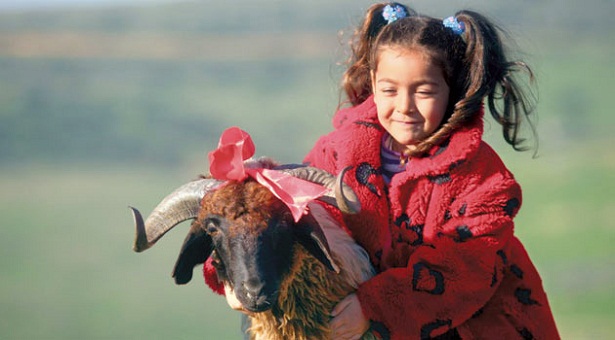 bayram-cocuk-kurban